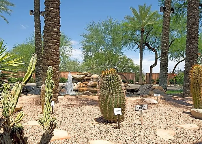 Resort Hilton Vacation Club Mirage